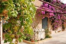 Luxury House Rental Malaga Andalusia Spain 