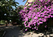 Spain Vacation Villa - Girona, Costa Brava Area, Catalunya