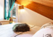 Casa Leopardo Switzerland Vacation Villa - St. Moritz