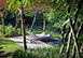 Indonesia Vacation Villa - Bali