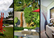 Villa Kalyani Bali, Indonesia Vacation Villa - Canggu