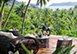 Laucala Island Fiji Vacation Villa - Private Island 