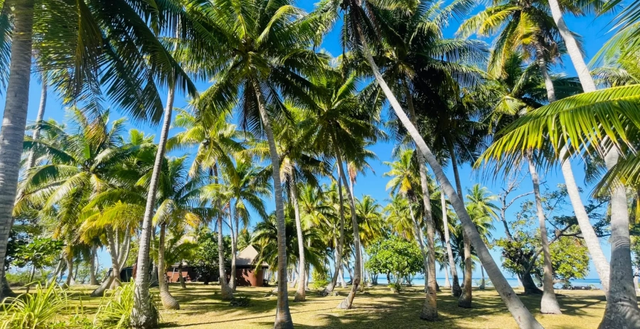 Villa Fara Nui  Vacation Villa - French Polynesia
