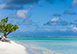 The Brando Three Bedroom French Polynesia Vacation Villa - Private Island, Tahiti