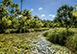 The Brando Three Bedroom French Polynesia Vacation Villa - Private Island, Tahiti