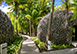 The Brando One Bedroom French Polynesia Vacation Villa - Private Island, Tahiti