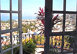 Villa Rosa