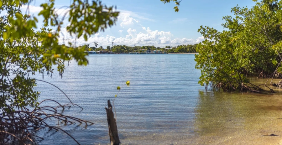 Shadow Sands  Vacation Villa - Belize