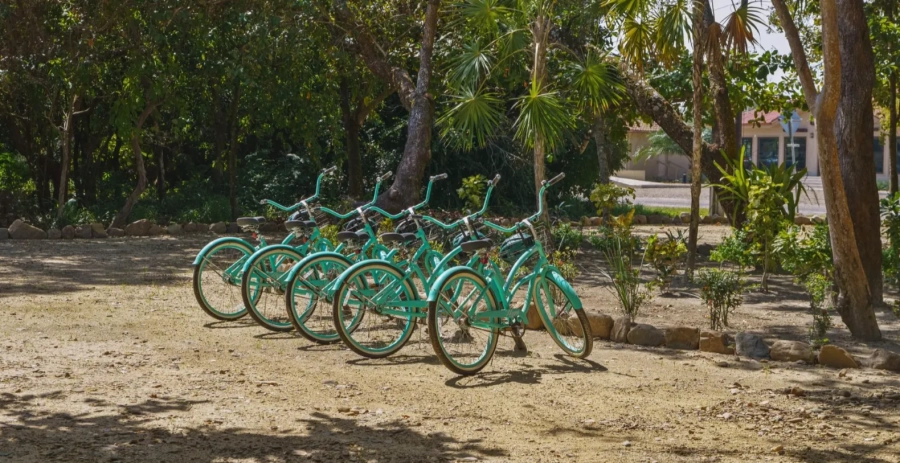 Toucan Dance  Vacation Villa - Belize