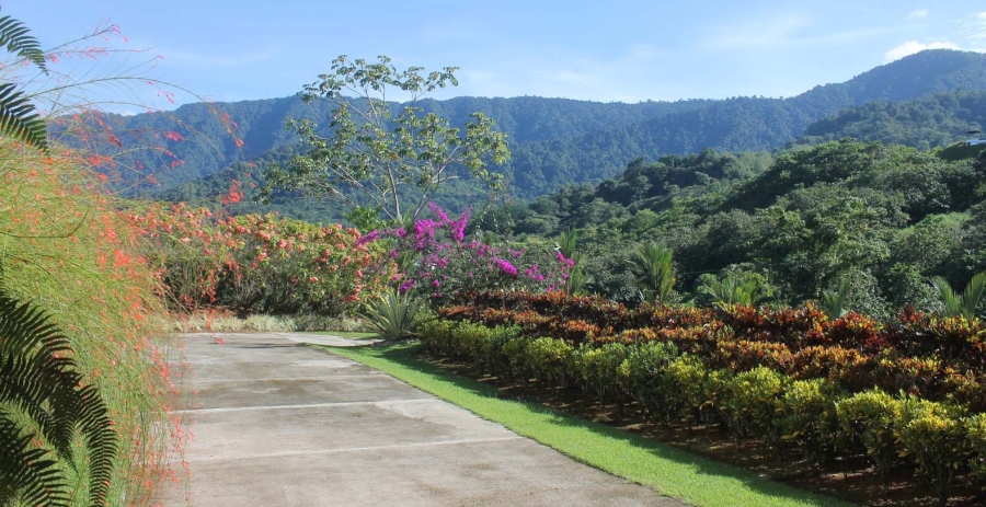 Casa Hacienda Jaguar Costa Rica Vacation Villa - Ojochal