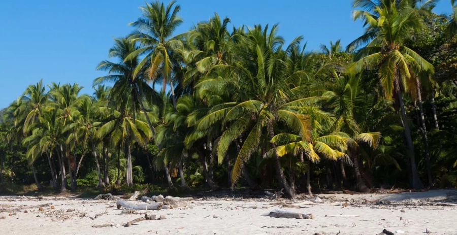 North Creek Estate Guanacaste Vacation Villa - Costa Rica