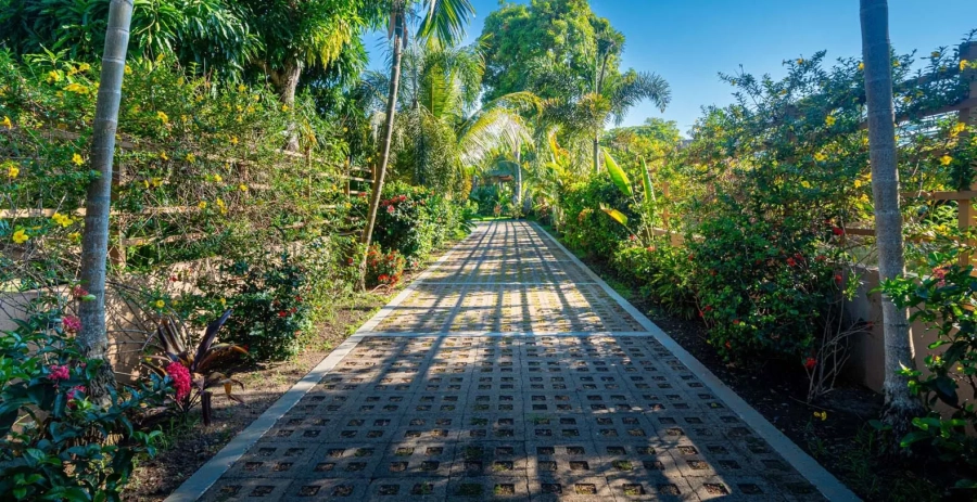 Villa Assinie Costa Rica Vacation Villa - Esterillos Este