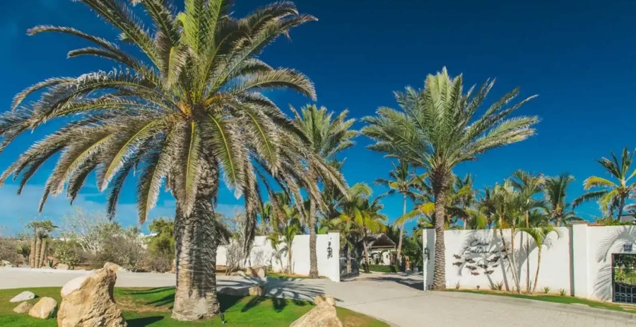 Casa Bellamar Mexico Vacation Villa - San José Del Cabo, Los Cabos, Quintana Roo