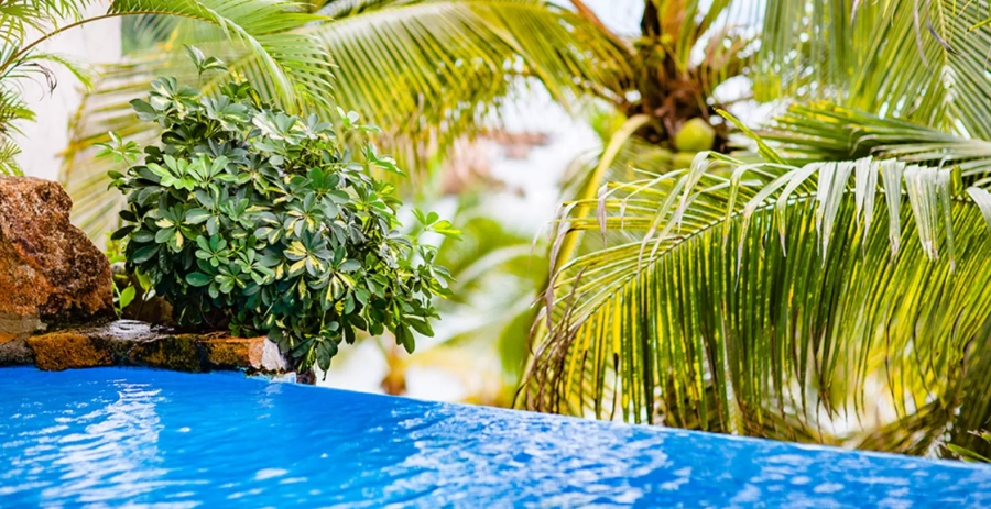 Casa Cosmos Puerto Vallarta Vacation Villa - Mexico