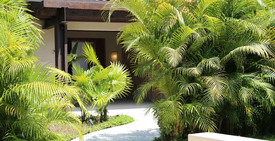Casa Rincon Del Mar Punta Mita Vacation Villa - Mexico