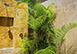 Enclave Villa 8 Mexico Vacation Villa - Cabo San Lucas