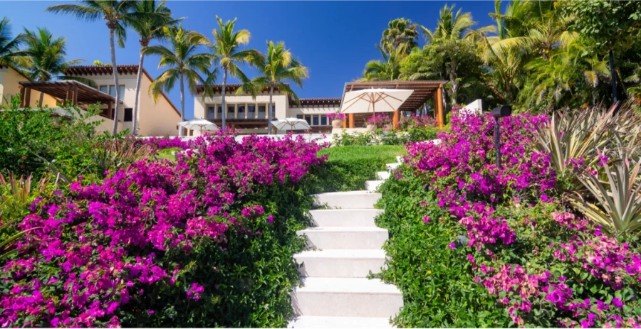 Estate Jaguar Punta Mita Vacation Villa - Mexico