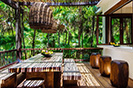 Tulum Tree House Mexico