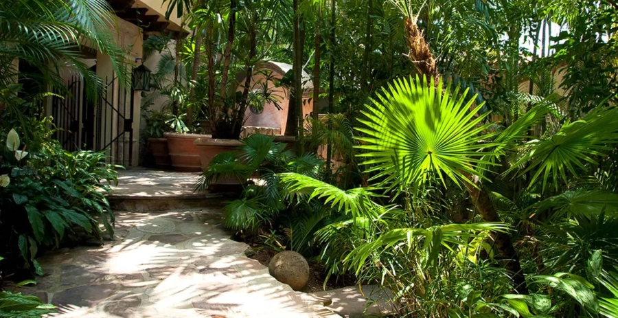 Amapas Estate Puerto Vallarta Vacation Villa - Mexico