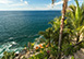 Mexico Vacation Villa - Puerto Vallarta