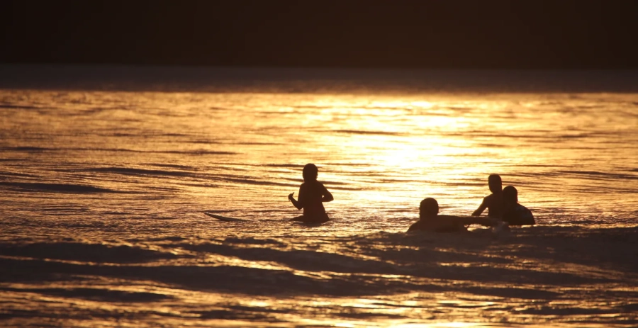 Alaya Jungle Mansion  Vacation Villa - Panama