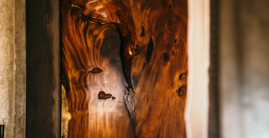 Alaya Jungle Mansion  Vacation Villa - Panama