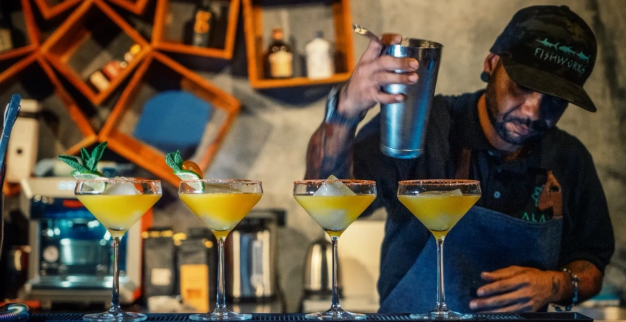 Alaya Jungle Mansion  Vacation Villa - Panama