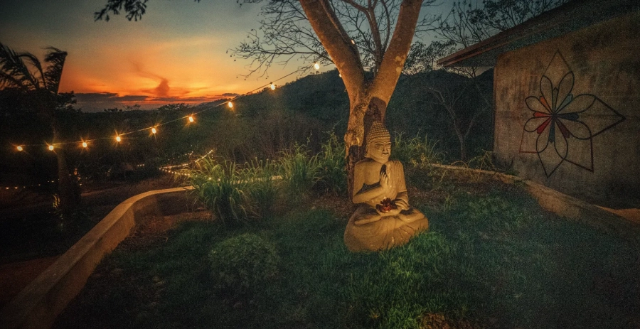 Alaya Jungle Mansion  Vacation Villa - Panama