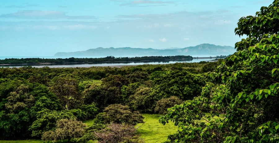 Alaya Jungle Mansion  Vacation Villa - Panama