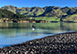 Scrubby Bay South Island, New Zealand Vacation Villa - Pigeon Bay, Banks Peninsula