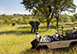 Ulusaba Rock Lodge, Sabi Sand Reserve (Western Sector), South Africa