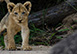 Ulusaba Rock Lodge, Sabi Sand Reserve (Western Sector), South Africa