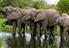 Ulusaba Rock Lodge, Sabi Sand Reserve (Western Sector), South Africa