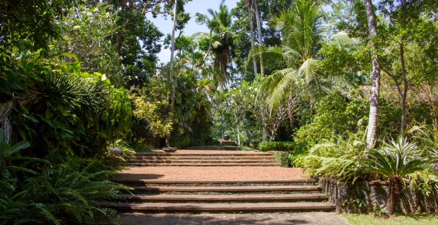 Armitage Hill  Vacation Villa - Sri Lanka