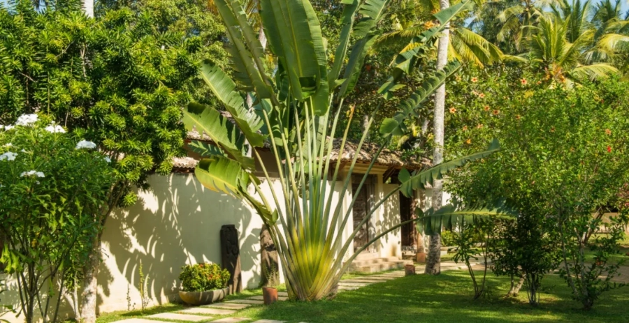 Villa Kumara  Vacation Villa - Sri Lanka