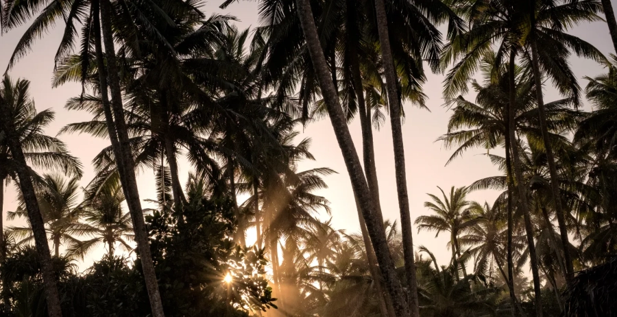 Meda Gedara  Vacation Villa - Sri Lanka