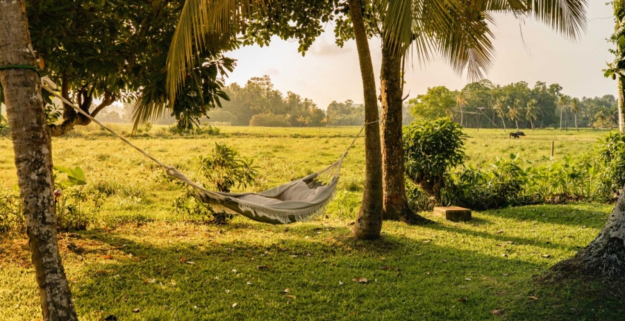 Rice House  Vacation Villa - Sri Lanka