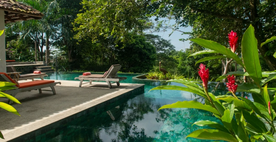 Tea Estate  Vacation Villa - Sri Lanka
