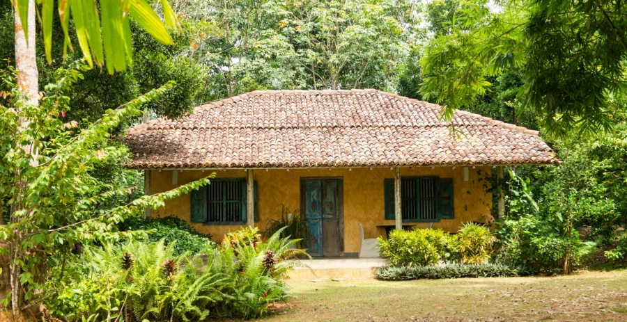 Tea Estate  Vacation Villa - Sri Lanka