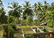 Walatta House Sri Lanka Vacation Villa - Tangalla