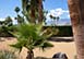 Modern Palms California Vacation Villa - Palm Springs