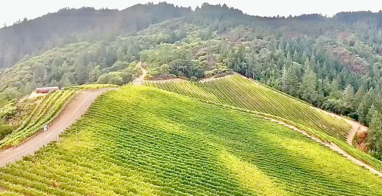 St. Helena French FarmHouse California Vacation Villa - Saint Helena
