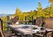 Black Bear Lodge Colorado Vacation Villa - Snowmass, Aspen
