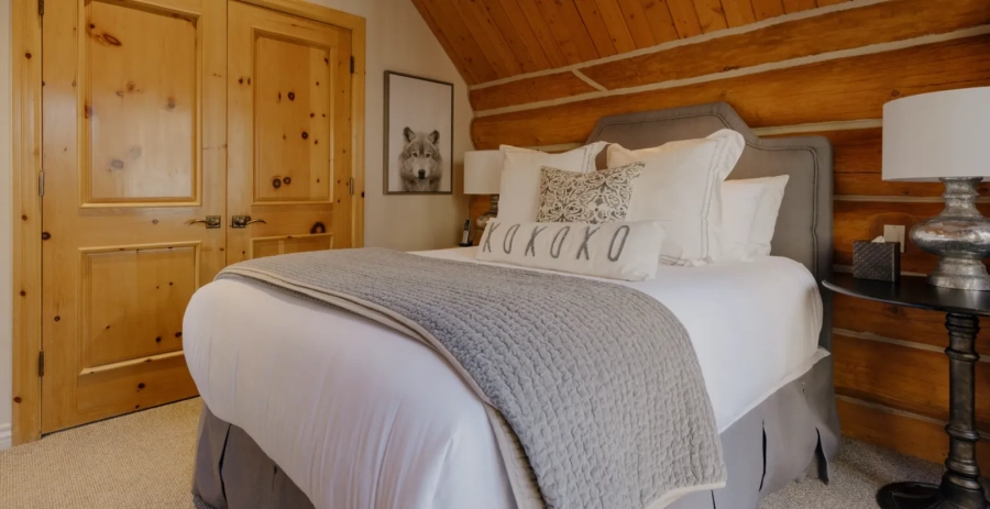 Frostpine Cabin Telluride Vacation Villa - Colorado