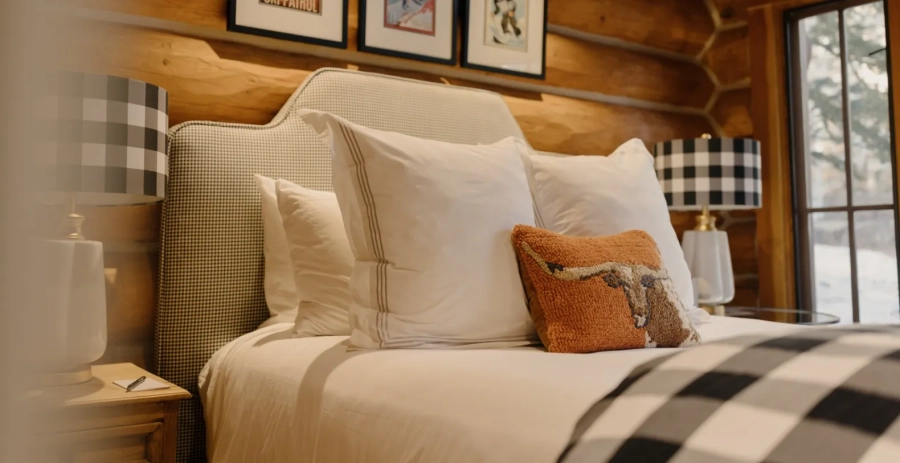 Frostpine Cabin Telluride Vacation Villa - Colorado