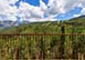 Highline Penthouse at Cortina Colorado Vacation Villa - Telluride