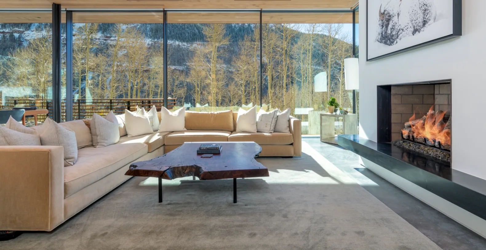 Seamless Edge Colorado Vacation Villa - Telluride