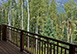 Touchdown Estate Colorado Vacation Villa - Telluride