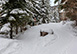 Pines Townhome Colorado Vacation Villa - Beaver Creek