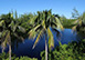 Bunting Lane Florida Vacation Villa - Sanibel